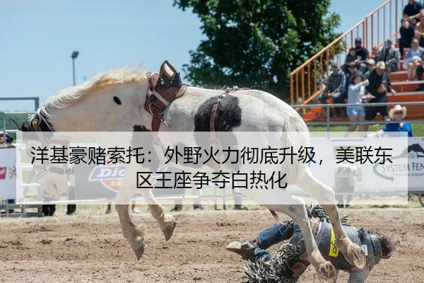 洋基豪赌索托：外野火力彻底升级，美联东区王座争夺白热化
